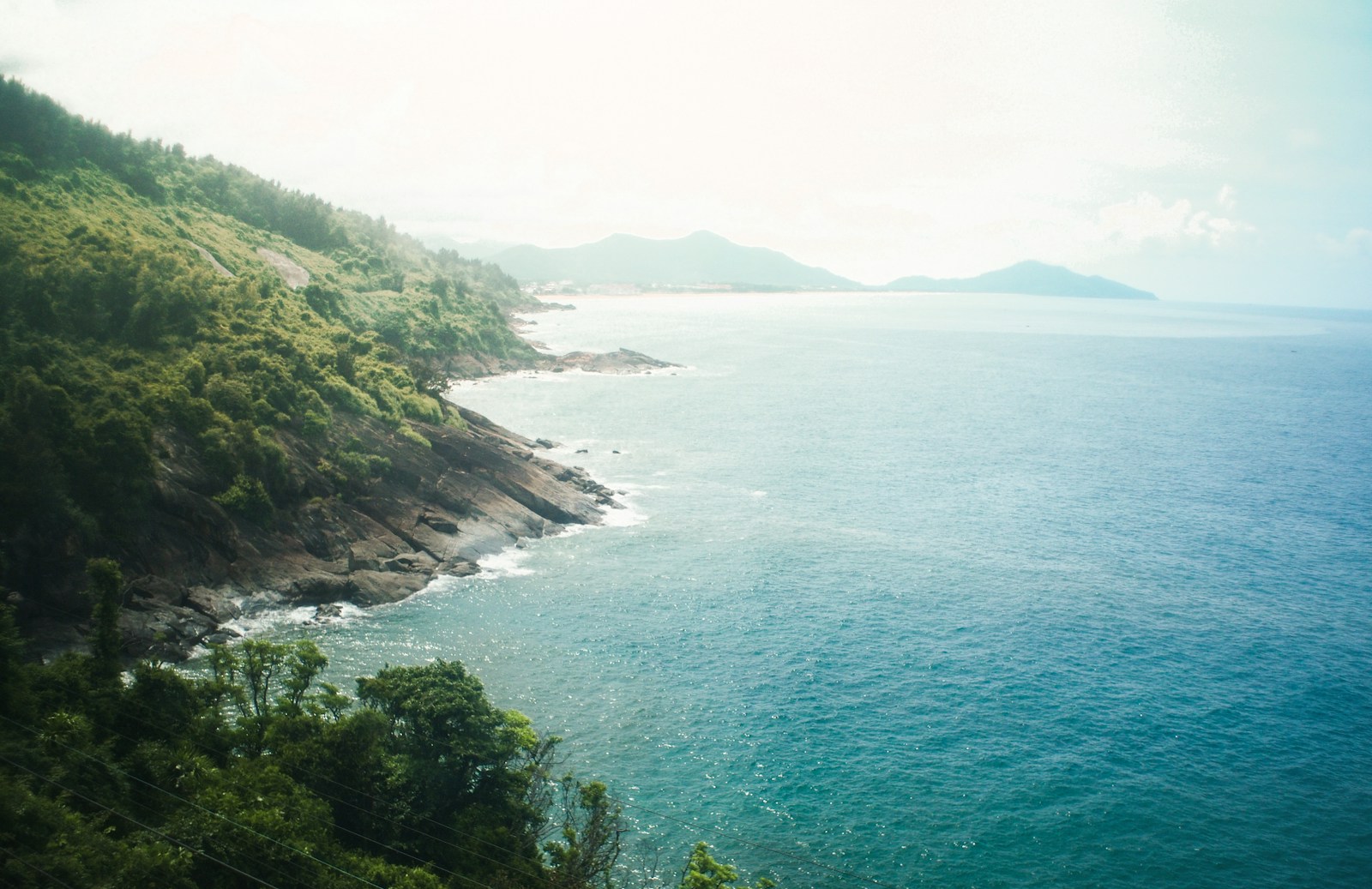 A lush coastline embraces a tranquil ocean.